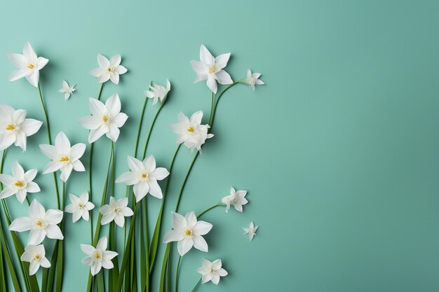 Fondo de flor de primavera con espacio de texto