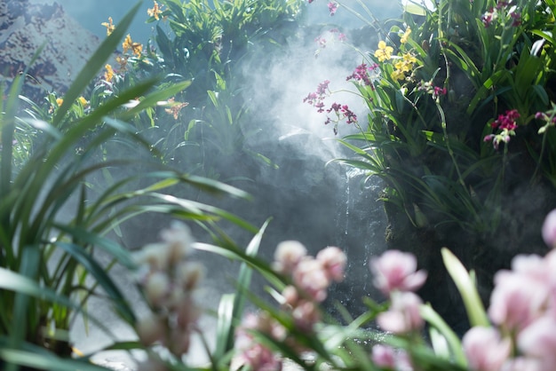 Fondo de flor de verano. Escena de la naturaleza con flores, hermoso huerto.