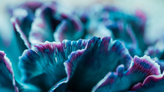 Fondo floral abstracto azul flor de clavel macro flores telón de fondo para el diseño de la marca de vacaciones