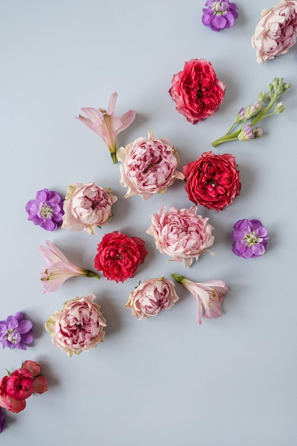 Fondo floral abstracto Fondo de flores de rosa rosa y rojo colorido Hermosas flores y pétalos Plantilla de botánica artística
