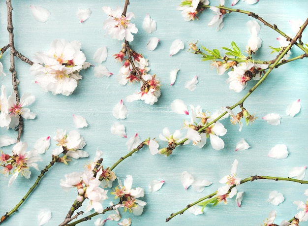 Fondo floral de primavera con pétalos y flores de almendras blancas