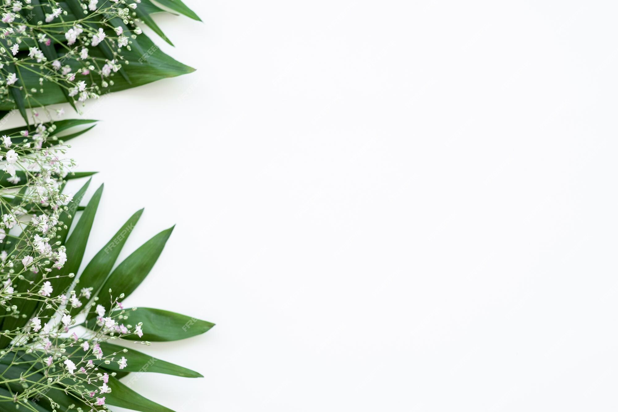 Fondo floral tarjeta de invitación verde hoja fresca flores delicadas  blancas decoración mínima aislada en espacio de copia de luz arreglo natural  diseño romántico | Foto Premium