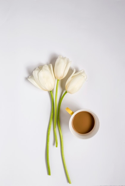 Fondo floral con tulipanes rojos y blancos y café