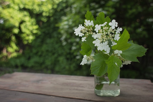 fondo de flores blancas