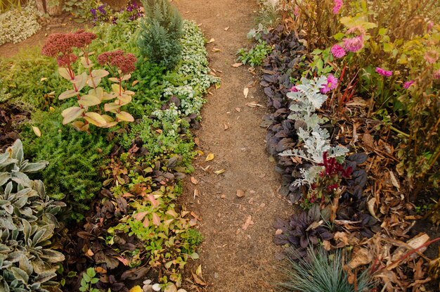 Fondo de flores brillantes Flores en la mañana en el parque Camino con flores de jardinería de otoño