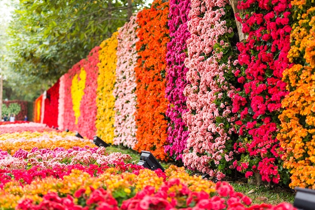 Fondo de flores coloridas San Valentín o boda