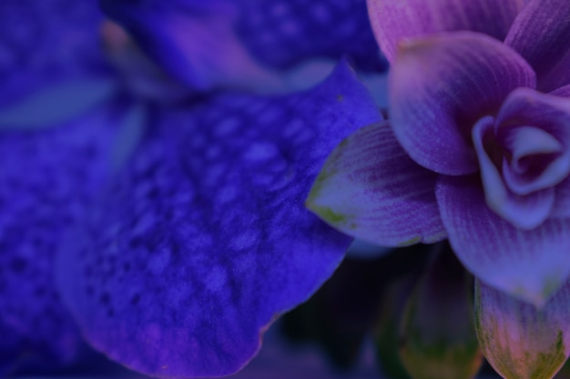 Fondo de flores, decorado en azul, violeta claro