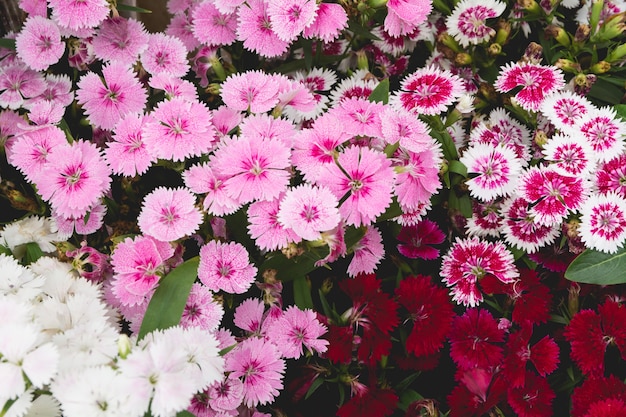 Fondo y flores festivas de la textura. Ramo de flores para el concepto de día de San Valentín.