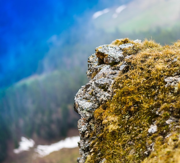 Fondo de fondo de bokeh de roca de montaña de gran altitud viva horizontal