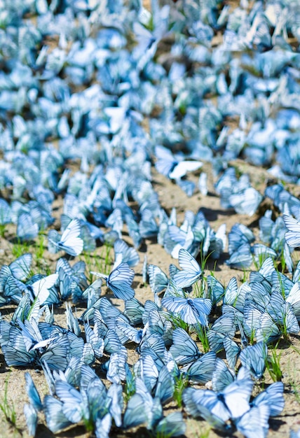 Fondo de fondo de flashmob bokeh de mariposas vivas verticales