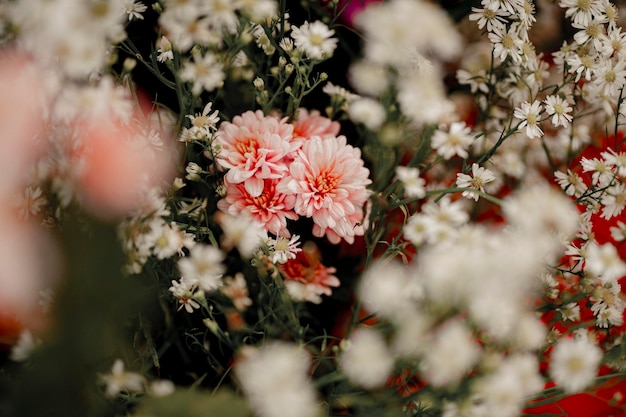 Foto fondo de fondo de flor de la boda, fondo colorido, rosa fresca, manojo de flor