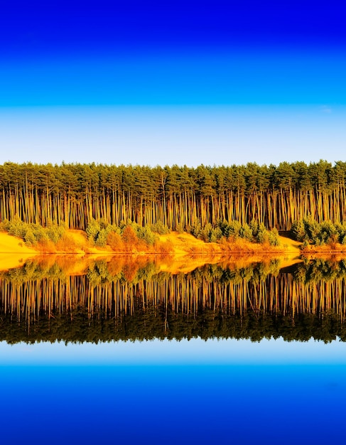 Fondo de fondo de paisaje de reflexiones de río de bosque de madera vibrante vertical