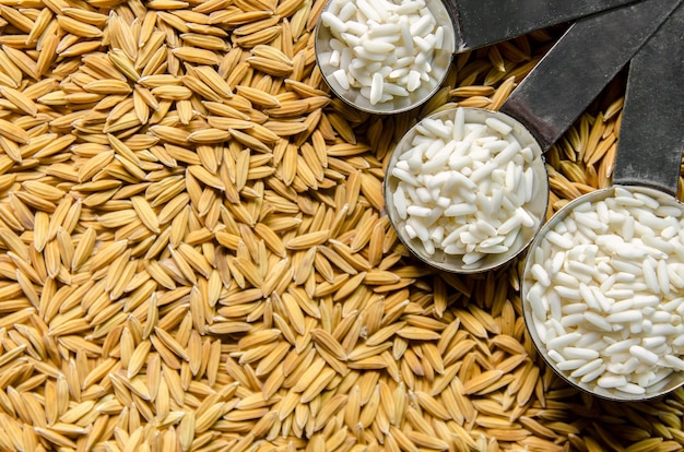 Fondo y fondo de pantalla por pila de arroz con cáscara y semillas de arroz.