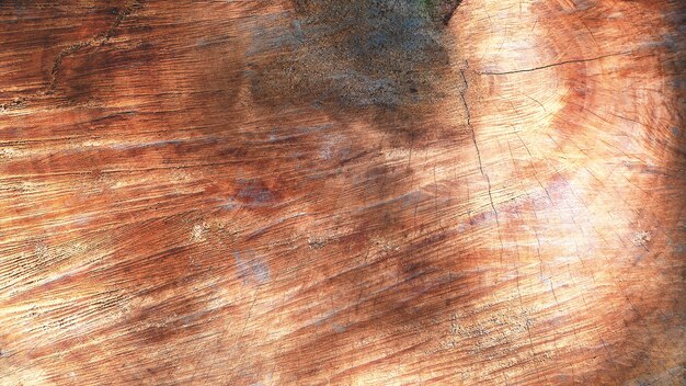 Fondo de fotograma completo de la textura de madera dura