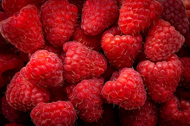 Fondo de frambuesas frescas y dulces Frambuesa madura orgánica fresca Montón de frambuesas rojas vista superior