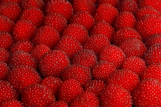 Foto fondo de frambuesas frescas maduras.