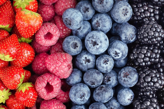 Foto fondo de fresas, frambuesas, arándanos y moras dispuestos en fila