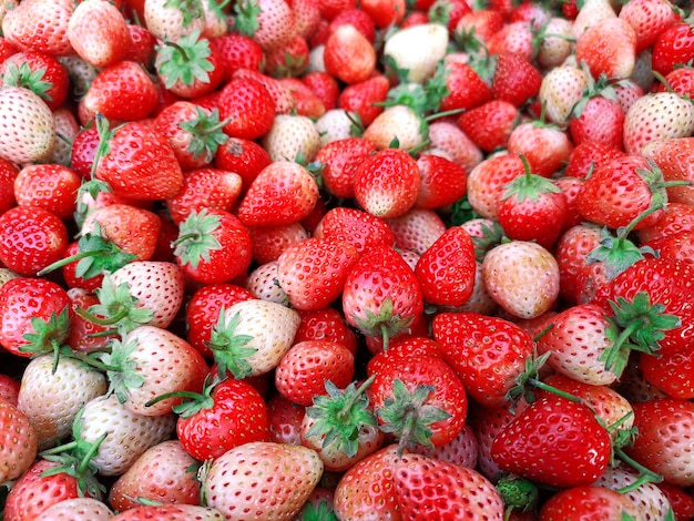 Fondo de fresas Fresa Fondo de alimentos