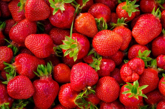 Fondo de fresas Fresa Fondo de alimentos