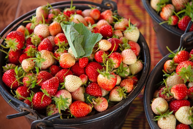 Fondo de fresas recién cosechadas.