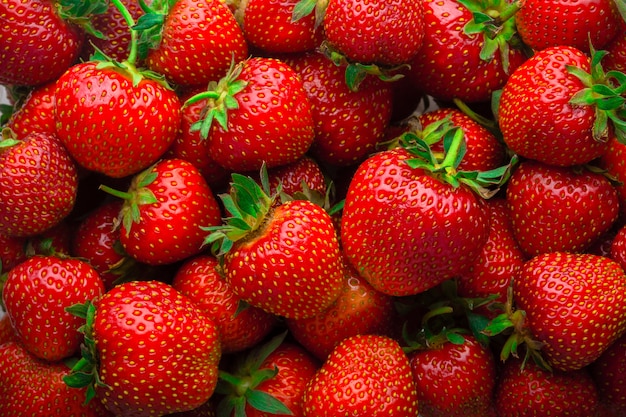 Fondo de fresas rojas frescas