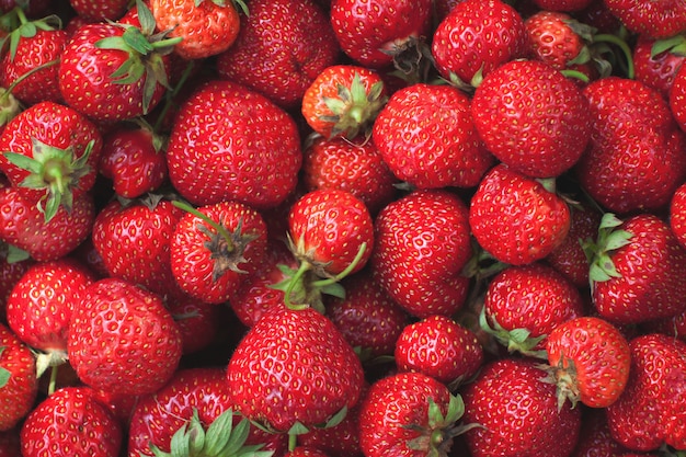 Fondo de fresas