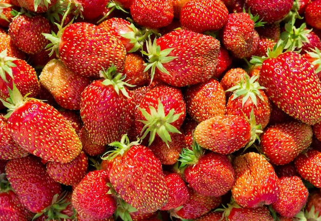 Fondo de fresas