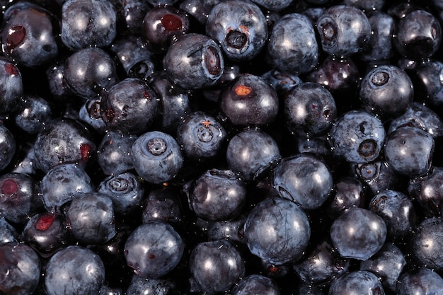 Fondo de fruta de arándanos