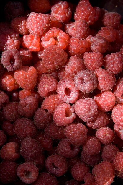 Fondo de fruta de frambuesa con rayo de sol.