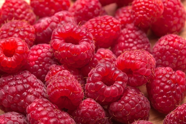 Fondo de fruta de frambuesa