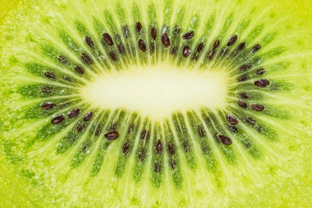 Fondo de fruta de kiwi