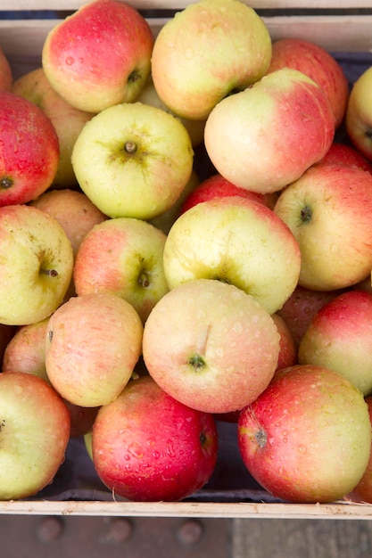 Fondo de fruta de manzana en el mercado