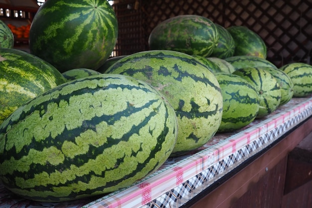 Fondo de fruta de sandías con rayas verdes grandes en el mostrador en el mercado citr de sandía común