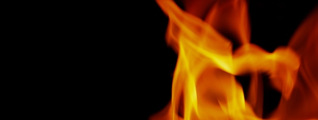 Fondo de fuego. Llama ardiente abstracta y fondo negro. representa el poder de la quema se refiere al calor picante seductor sensual o quema de combustibles. Los incidentes de incendios la quema destruye todo.
