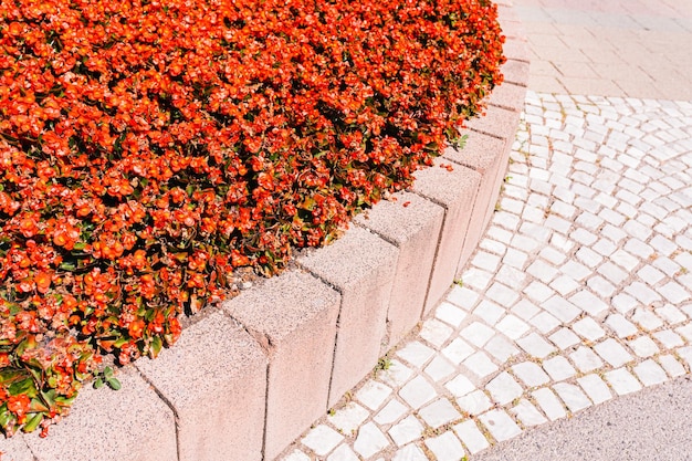 Fondo geométrico, adoquines y macizo de flores con flores de verano.