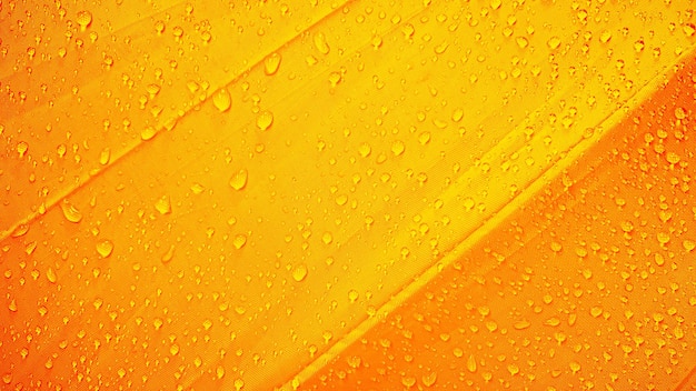 Fondo de gotas de agua naranja