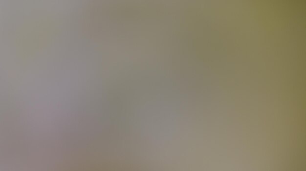 Fondo de gradiente amarillo para el anuncio Banner Social Post