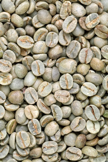 Fondo de grano de café verde