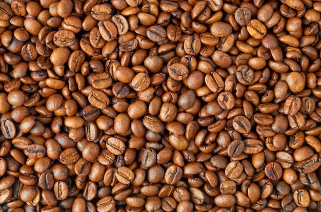 Fondo de grano de café