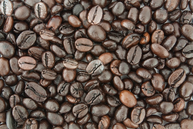 Fondo de grano de café