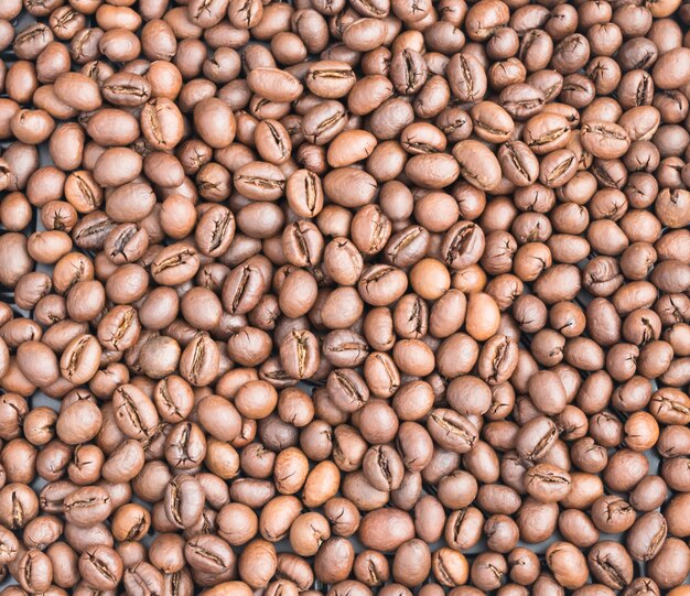 Fondo de granos de café arábica y robusta tostados medio