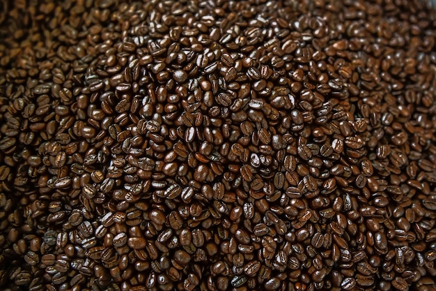 Fondo de granos de café arábica