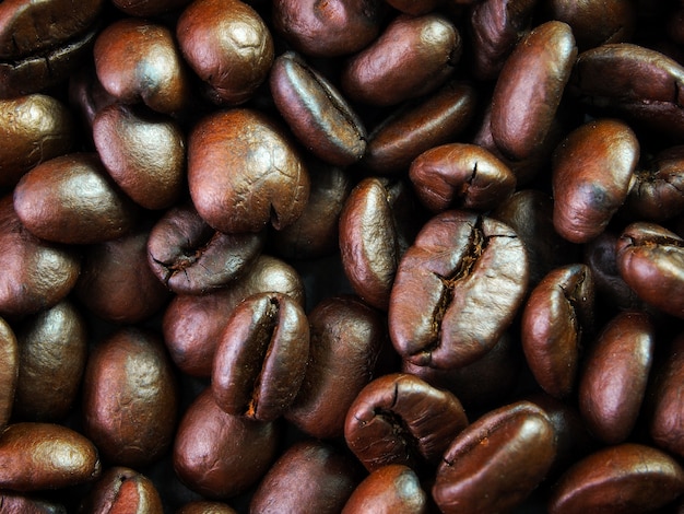 Fondo de los granos de café oscuros