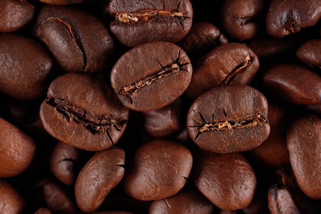 Fondo de granos de café