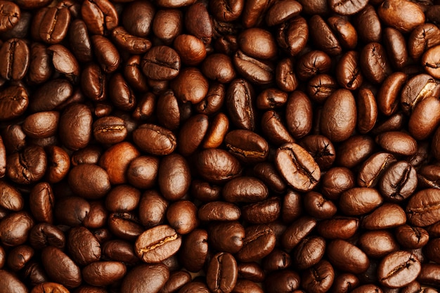 Fondo de granos de café