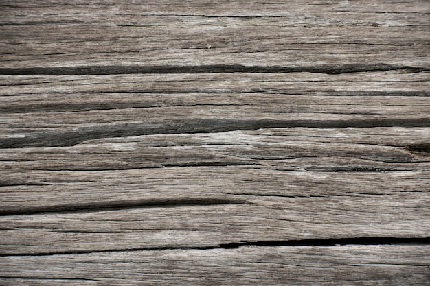 Fondo de las grietas superficiales de la corteza de árbol. textura en la naturaleza de madera.