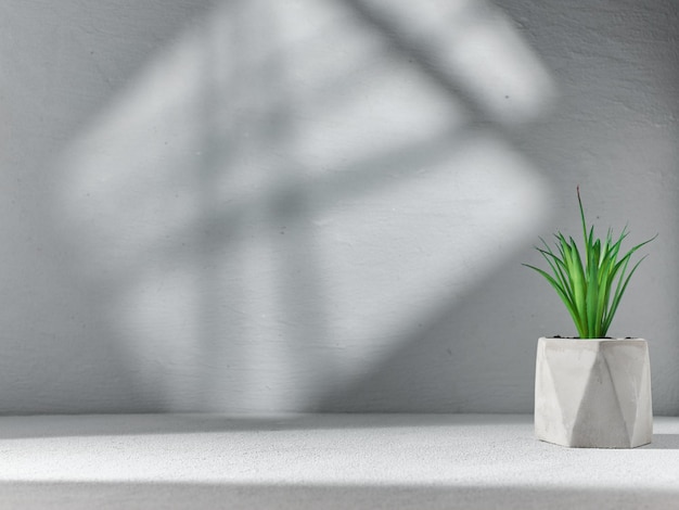 Fondo gris para exhibición de productos con flor decorativa