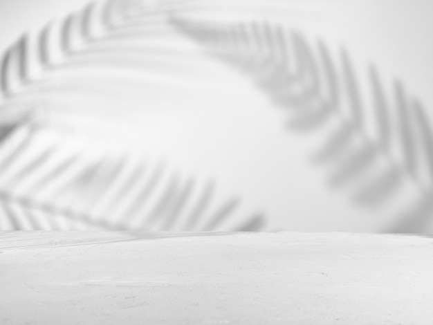 Fondo gris para presentación de producto con sombras naturales