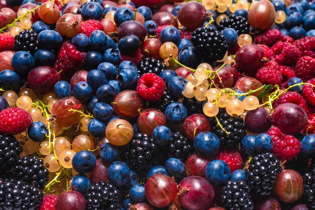 Fondo de grosellas, arándanos, moras, frambuesas, grosellas blancas y rojas.