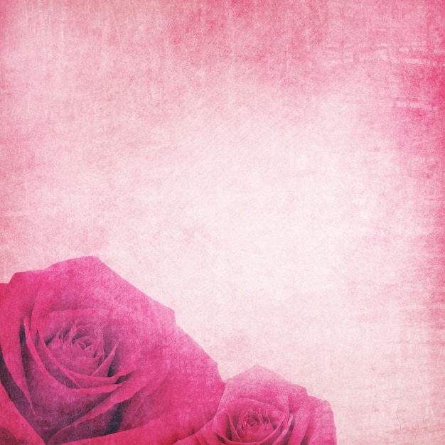 Foto fondo grunge retro romántico con rosas